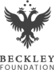 Beckley Foundation psychedelics