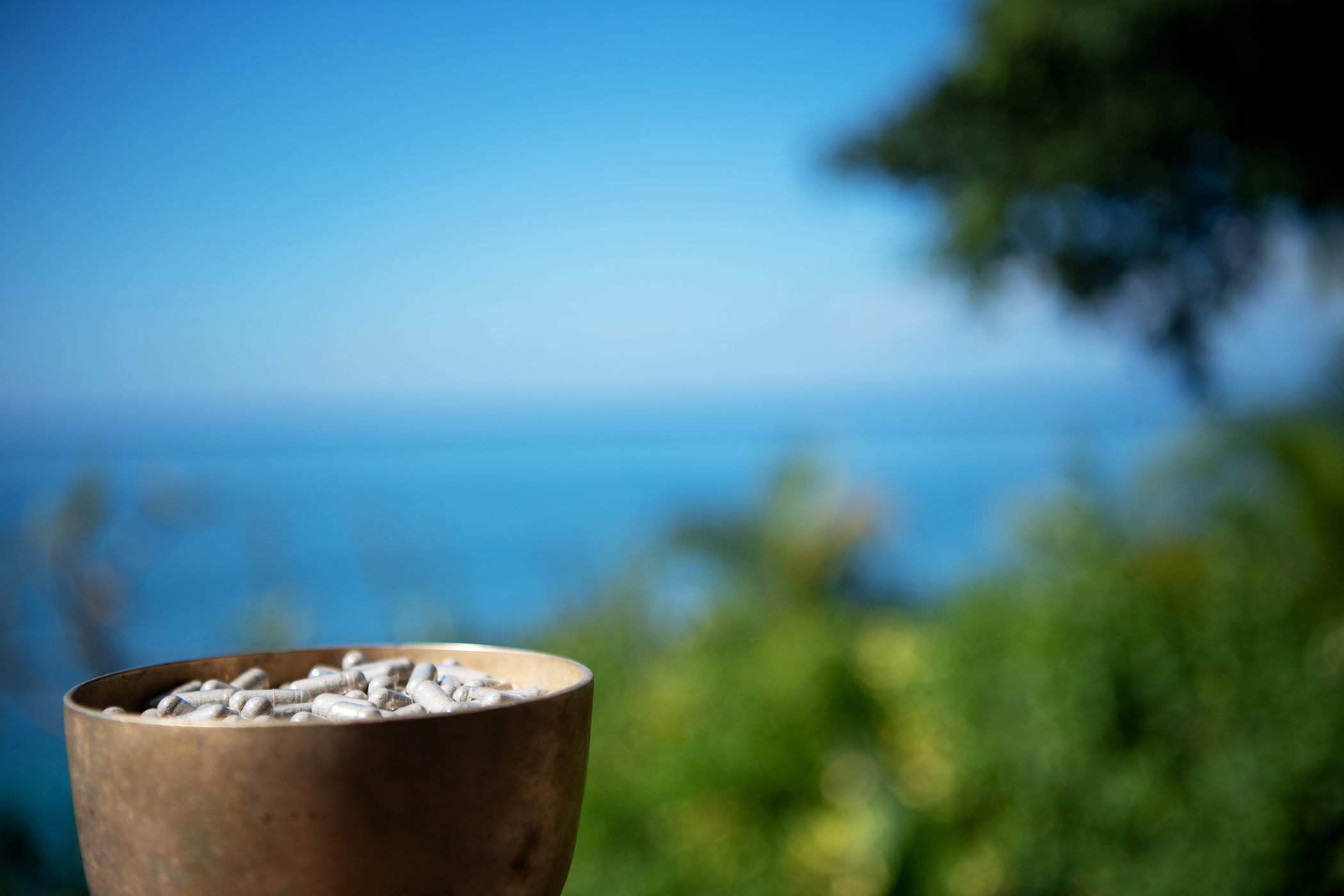 capsules by ocean at a psilocybin retreat