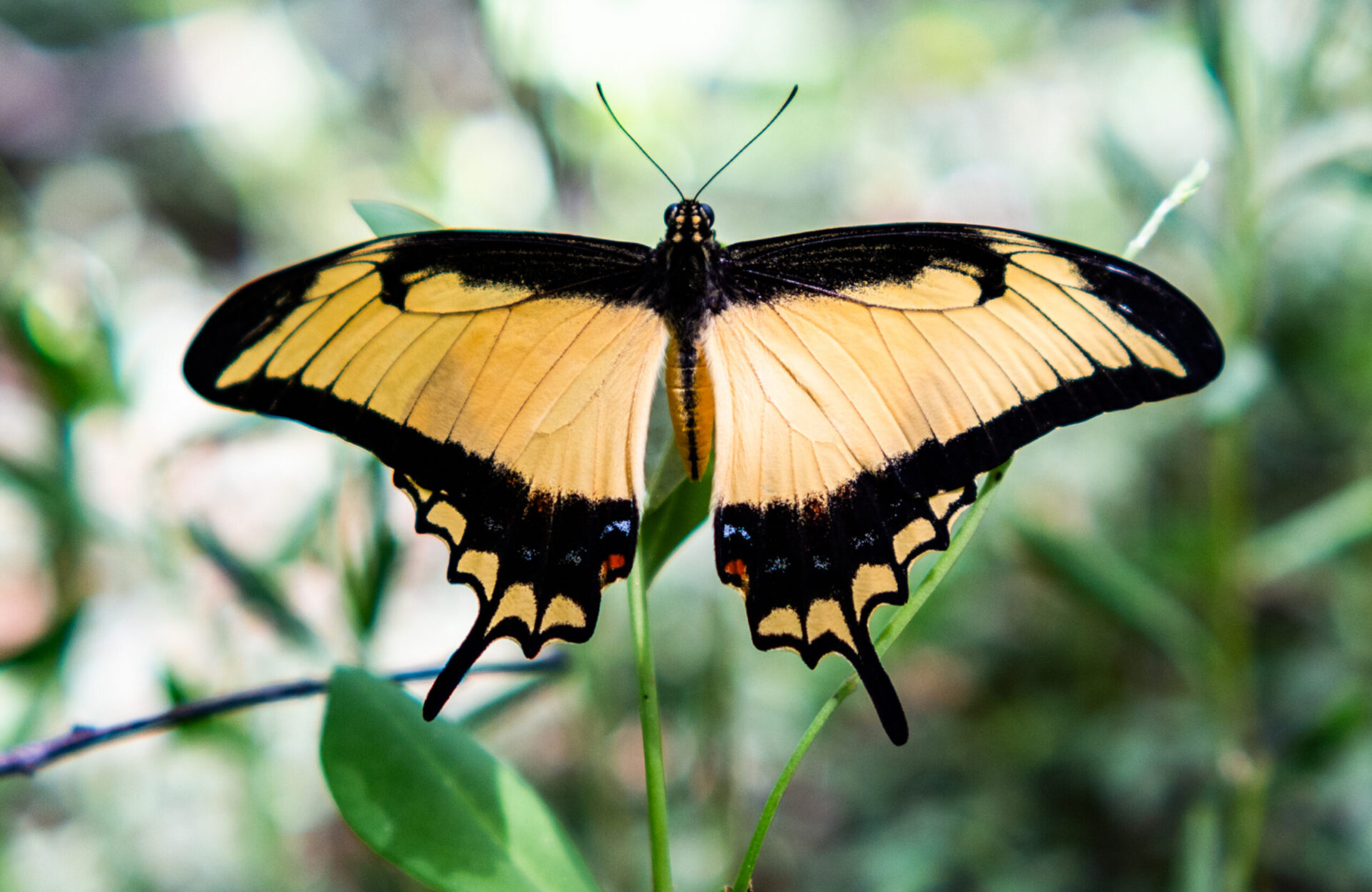 Experience the beauty of the natural world while you focus on your healing journey