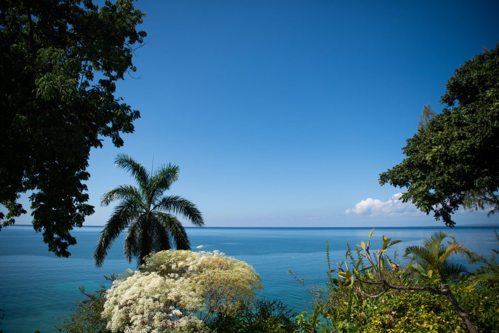 view of the sea from mycomeditations psilocybin retreat at their bluefields bay location