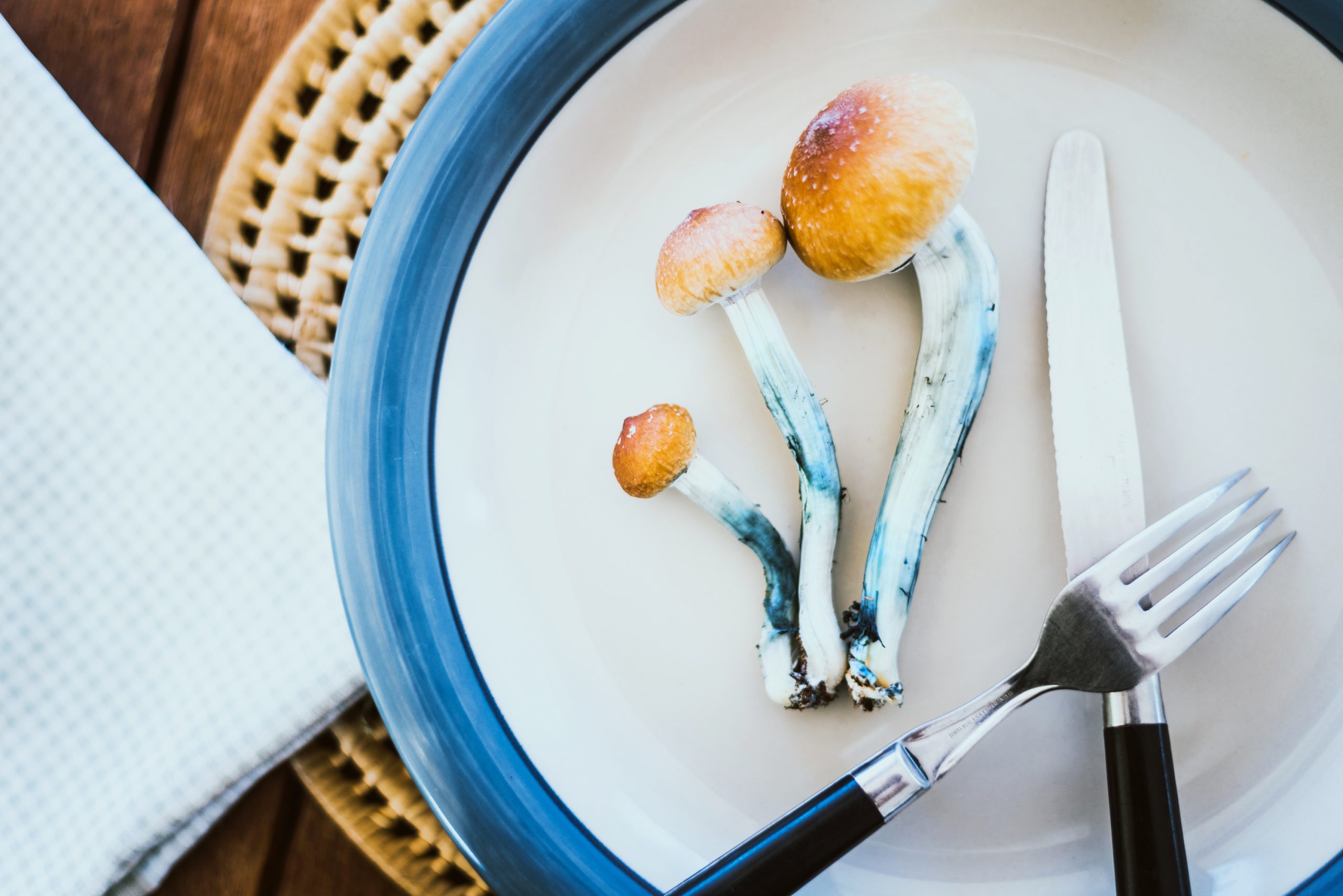 psilocybin mushrooms shown on a dinner plate