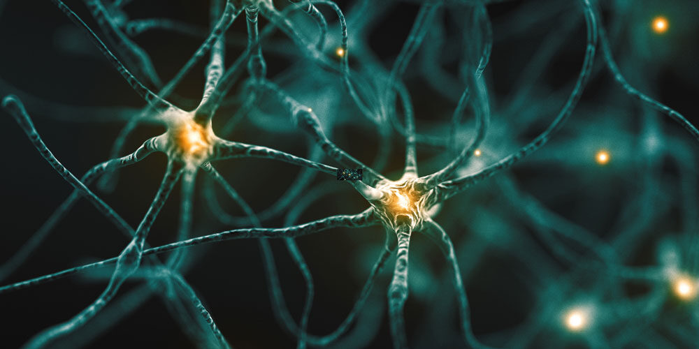 neurons in the brain depicting activity and connection from psychedelics
